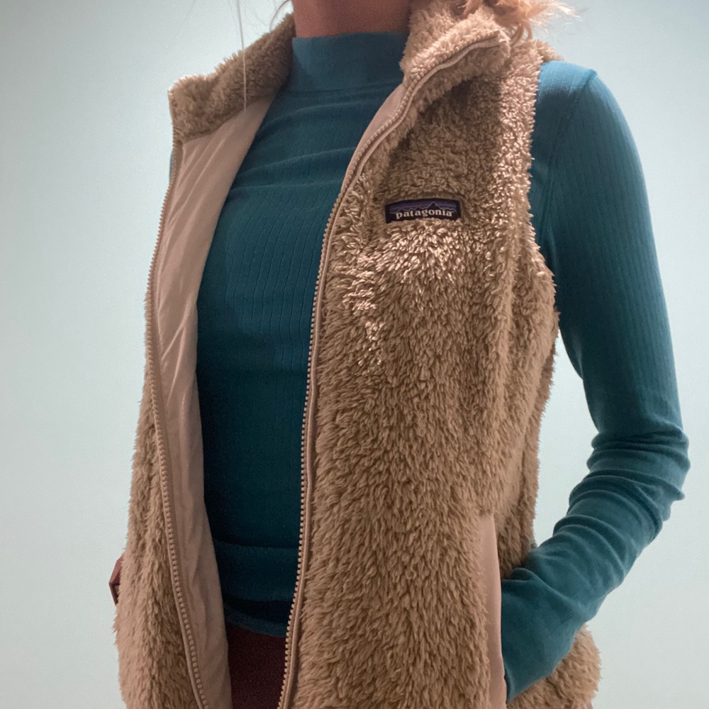 patagonia vest